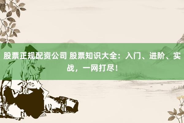 股票正規(guī)配資公司 股票知識大全：入門、進階、實戰(zhàn)，一網(wǎng)打盡！