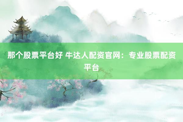 那個(gè)股票平臺(tái)好 牛達(dá)人配資官網(wǎng)：專業(yè)股票配資平臺(tái)