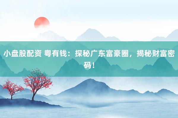 小盤(pán)股配資 粵有錢(qián)：探秘廣東富豪圈，揭秘財(cái)富密碼！